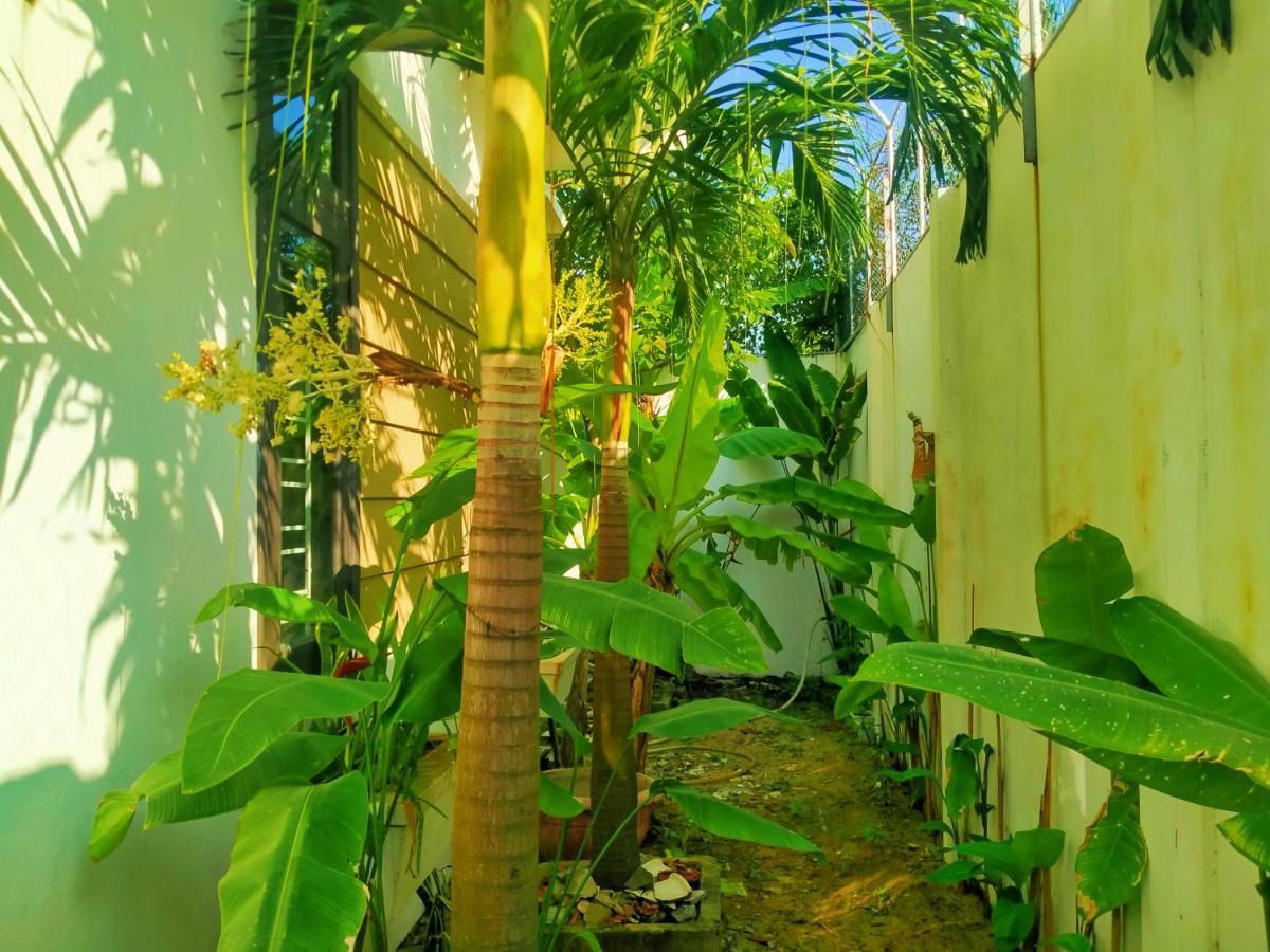 Almond Villa Хой Ан Екстериор снимка